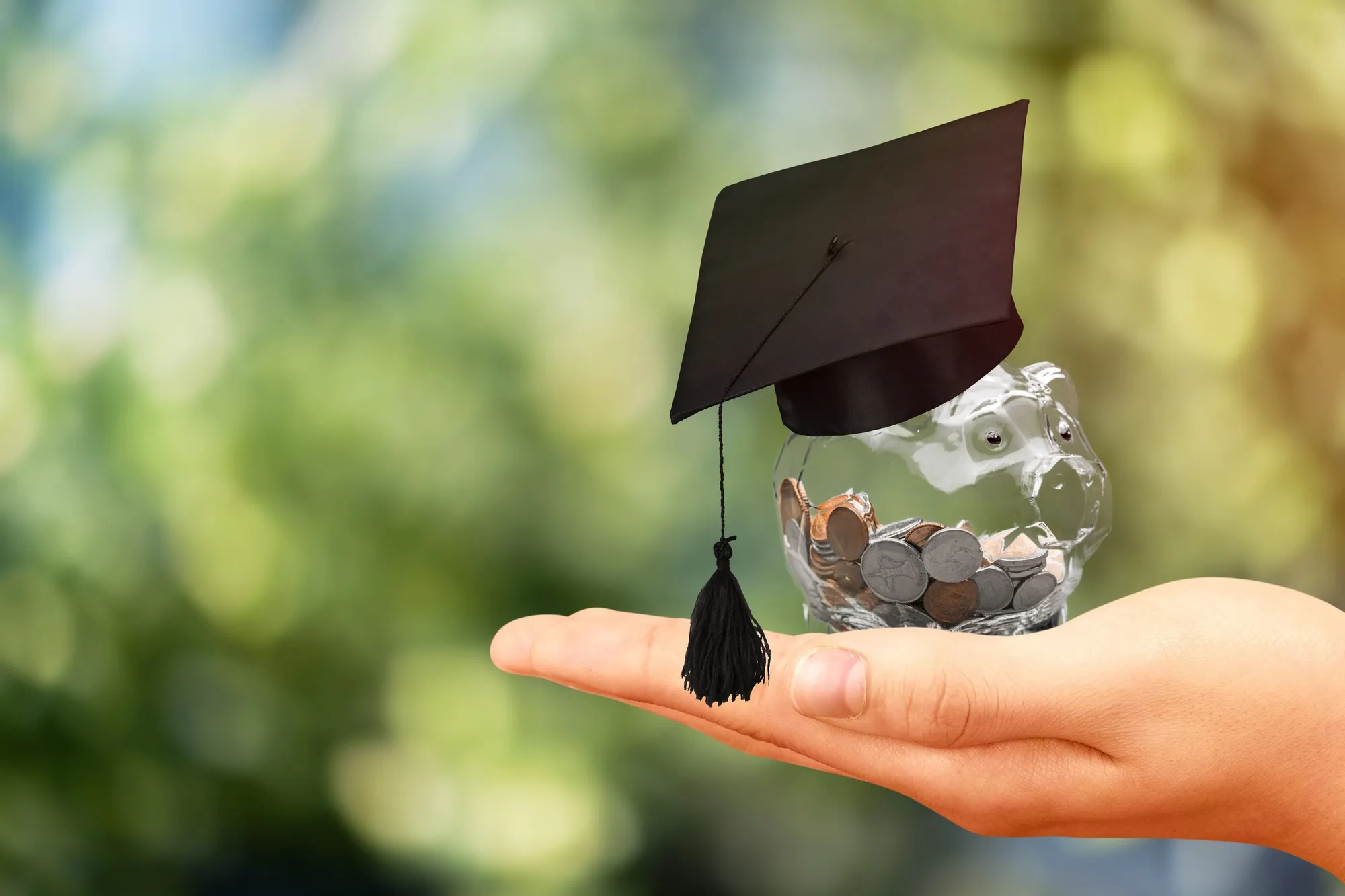 Bachelor’s Degree In Finance