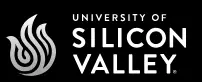 University of Silicon Valley